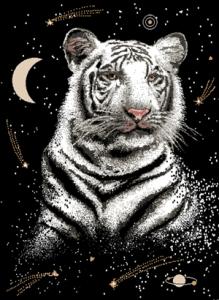 Midnight Tiger